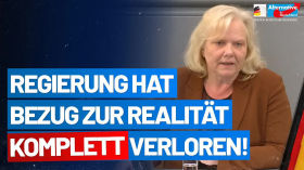 Die Regierung hat Bezug zur Realität komplett verloren! - Ulrike Schielke-Ziesing - AfD-Fraktion by emy