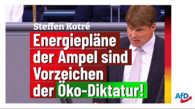 Steffen Kotré zum Wahnsinn des beschleunigten Ausbaus der erneuerbaren Energien! by emy