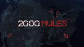 2000 Mules by Dinesh D’Souza (Documentary) by emy