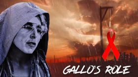 Gallo's Role by emy
