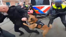 Neue Stufe von Polizei-Brutalität: Beamte hetzen in Amsterdam Hunde ohne Maulkorb auf Demonstranten by emy
