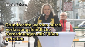 Rede von Rechtsanwältin Beate Bahner vor dem Bundesverfassungsgericht by emy