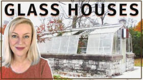 Lazarus Diary 2 - Glass Houses - Nov 10 2021 by Amazing Polly
